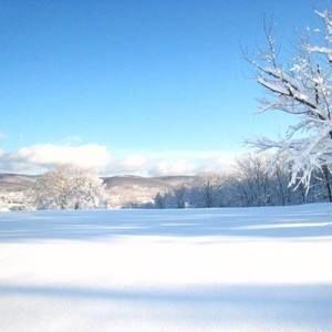 Meet your Posher, Penny